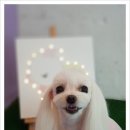 구암동428 이미지