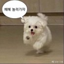 수진충전소 | 경주여행, 일상, 대전여행 모든것이 짬뽕~!