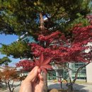 연수원밥상 이미지