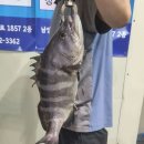 남양주 실내 바다낚시터 이미지