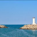 동백천우 이미지