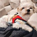 박촌공원 이미지