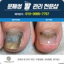 노브살롱 이미지