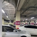 묘묘 고양이 미용실 이미지