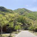 고대산자연휴양림 이미지