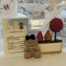 하루야 | 부천 애견 동반 카페 '안녕하루야' 타로 체험 후기