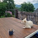 상림민박 이미지