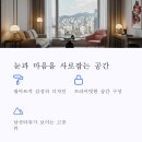 글로카로카 이미지