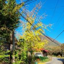 내리마을회관 이미지