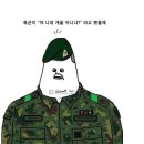 개꿀 이미지