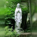 5월의 시모음 [ 오월의 노래, 모란이 피기까지는, 5월의 시, 5월의 신부 ] 이미지