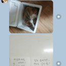 DH마트 이미지