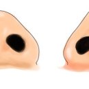 노블앤코 이미지