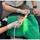 꿈이있는치과의원 이미지