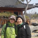 상록수이용원 Daum카페