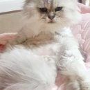 오메가당구장 이미지