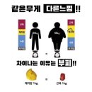 다짐점핑&온열다이어트