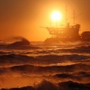 대양을 향해서 이미지