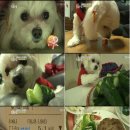 이목농장 2 이미지