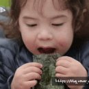정성밥집 - 김해시 한림면 | 정성밥집