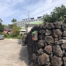 선인장여관 이미지