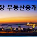 신항만자동차정비 이미지