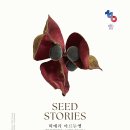 기장문화원 | 6월 부산 해운대 사진 전시회 추천! 고은사진미술관 'Seed Stories' 무료 전시 관람 후기