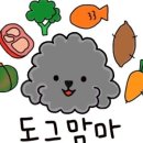 맘마수제간식 이미지