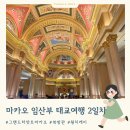 에그타르트 베네치안호텔 곤돌라 north 북방관 웡치케이 백종원맛집 세나도광장 윈마카오 번영의 나무쇼