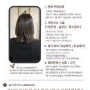 홀리제이붙임머리 이미지