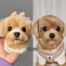 [양모펠트 강아지 액자 주문제작 후기] 94 그리고 다미