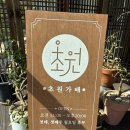 대전 근교 카페 금산 브런치 맛집 애견동반가능 초원가배