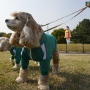 무궁화사진관 이미지