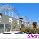 플라워다육 네이버블로그