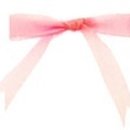 스프링가든 이미지