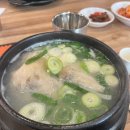강남역 삼계탕 한방대가삼계탕에서 점심 후기
