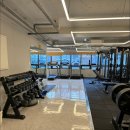 머슬베어pt 신길점 이미지