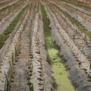 군서농장 이미지