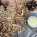 세븐테라피 이미지