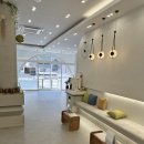 광안동물병원 | 광안역동물병원, 7살 고양이 스케일링&amp;발치 치료받고 온 후기