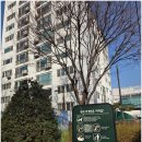 서초1동청사 앞마당 1 | [464편/서울특별시 서초구 서초1동]서울교육대학교와 서초롯데캐슬리버티아파트 사이에 위치한 아이들이...