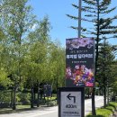 평창 가볼만한 곳 인생사진 찍으러 다녀온 뮤지엄딥다이브!