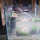 어항 세탁소 이미지