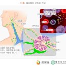경희토정한의원 이미지
