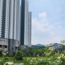 역동저수지 네이버블로그