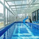 디디모스 이미지