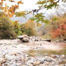 다래골농장 | 공사가 선정한 비대면 관광지 100선에 선정된 충북의 명소 괴산 갈론계곡과 그 주변 방문후기 및 관광정보