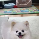 수원-0528 이미지