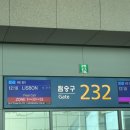신혼여행 포르투갈 리스본 호텔 추천 보미오 LH호텔(Boemio FLH Hotels) 숙박 후기
