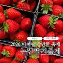 대학교 익산캠퍼스 | 아이랑 가기 최고 🍓 논산딸기축제 솔직후기 (+주차 꿀팁 총정리)
